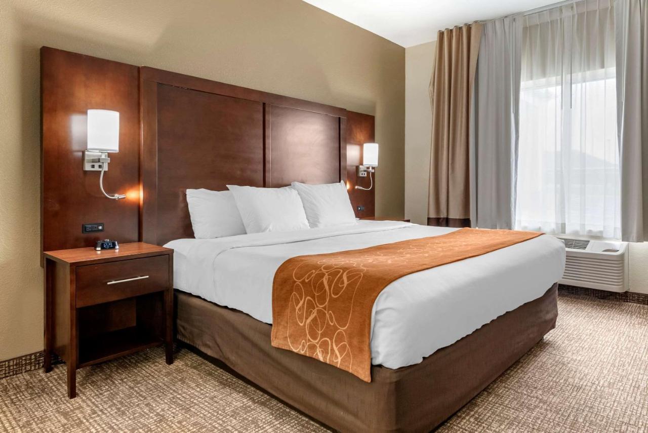 Comfort Suites Auburn Near I-69 Esterno foto