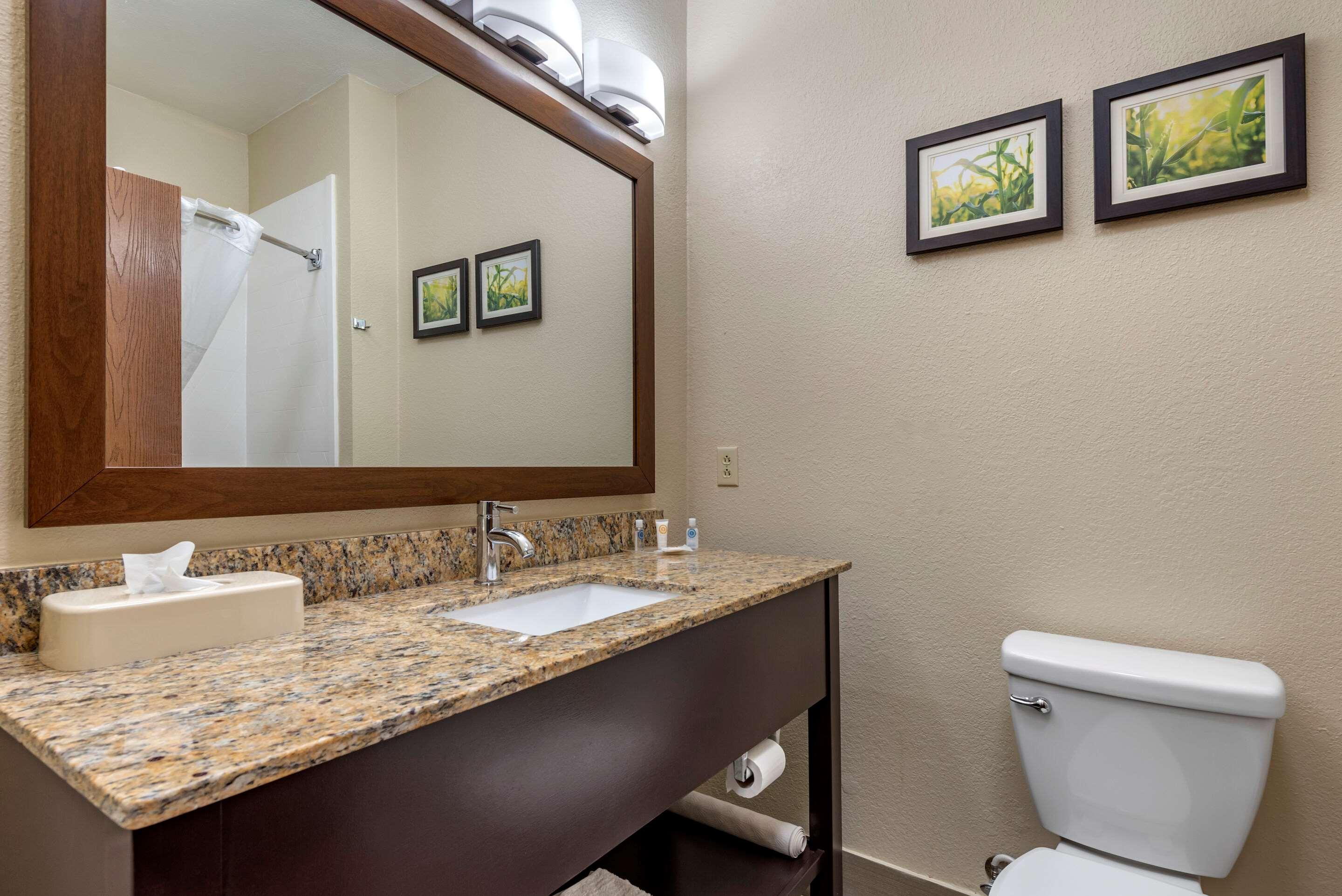 Comfort Suites Auburn Near I-69 Esterno foto